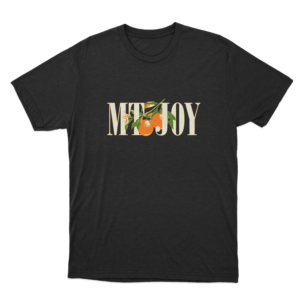 Mt. Joy Orange Unisex T Shirt Black Mt. Joy Orange Unisex T Shirt Black