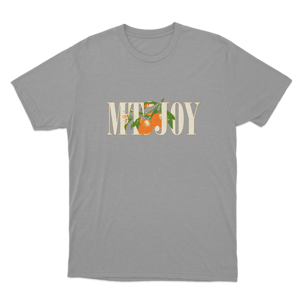 Mt. Joy Orange Unisex T Shirt Grey Mt. Joy Orange Unisex T Shirt Grey